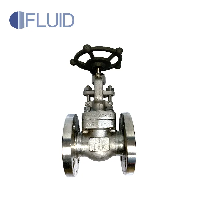 Forged Steel Flanged Globe Valve