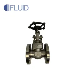 JIS Forged Steel Flanged Globe Valve